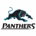 Penrith Panthers Secure Thrilling Victory, Push Playoff Boundaries in Unforgettable Clash