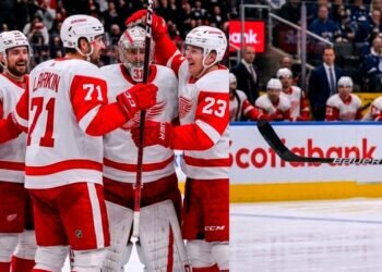 Professional Ice Hockey Player will need to be the Wings answer to Dylan Larkin this season