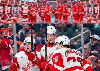 The Red Wings forward arrangement most likely to succeed this year