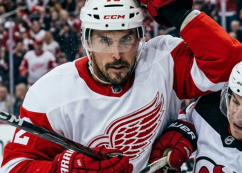 Red Wings Make a Trade Pitch Twelve-Year Veteran Josh Anderson for a Package of Two Players
