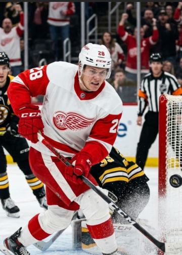 Top prospects for the Red Wings are vying for the final roster.
