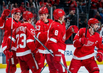The Red Wings Trade Proposal for Twelve-Year Veteran Josh Anderson for a Package of Two Players