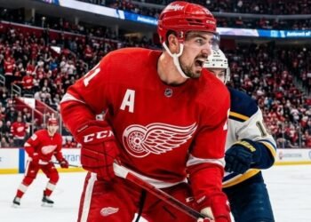 Detroit Red Wings have activated Andreas Englund from immigration non-roster