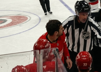 Dylan Larkin is hit in the groin by Nick Cousins, which is caught on tape