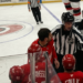 Dylan Larkin is hit in the groin by Nick Cousins, which is caught on tape
