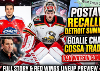Michal Postava, a Griffins Goalie, Will Be Called Up By the Red Wings